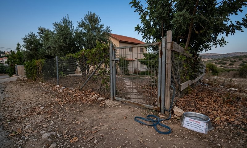 תנים נגועים בכלבת אותרו ברמת הגולן: "לפנות למיון בדחיפות"