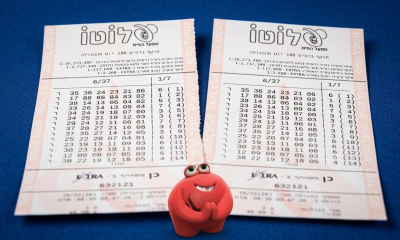 "רעדתי כולי": שני זוכים מהצפון התחלקו ב-25 מיליון בלוטו