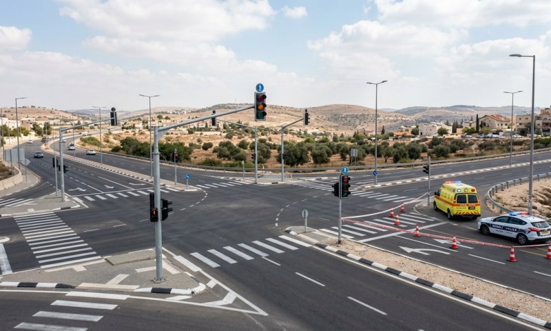 נהג דרס מפגין במהלך מחאה בצומת מצפה יריחו ונמלט