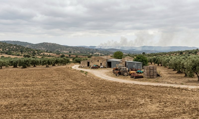 חשד: שוטרים פלסטינים הציתו את שריפת הענק בחוות גלעד