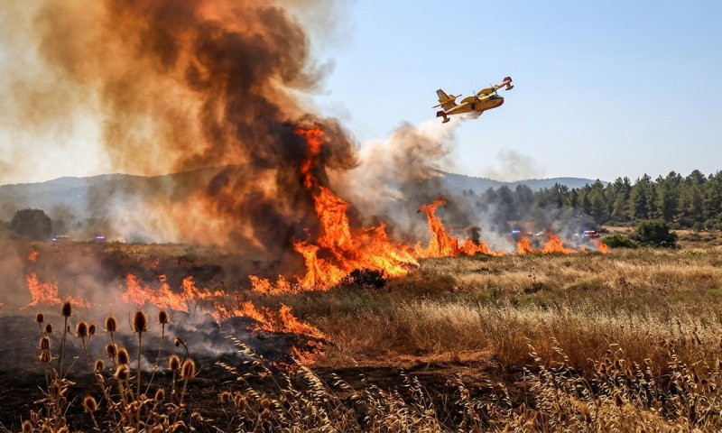 שריפה חמורה ביער בית קשת: 9 צוותים ומטוסים נאבקים באש