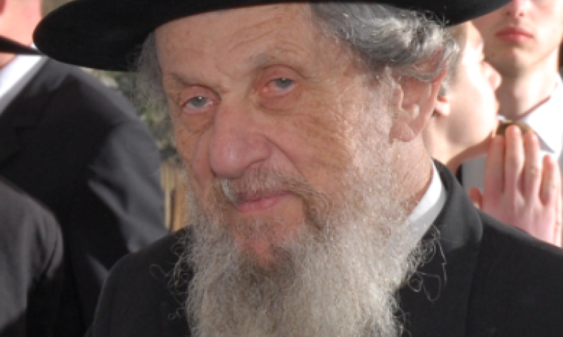 הרב לנדו: "המלחמות נערכות לכבוד המדינה ולא להצלה - זה רצח"