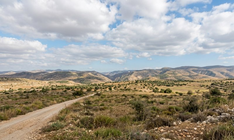ללא הפתעות מיוחדות: מזג אוויר נעים וטמפרטורות רגילות לעונה