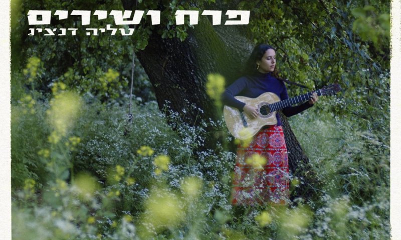 טליה דנציג משחררת את "פרח ושירים": שיר על ילדות שנגמרה