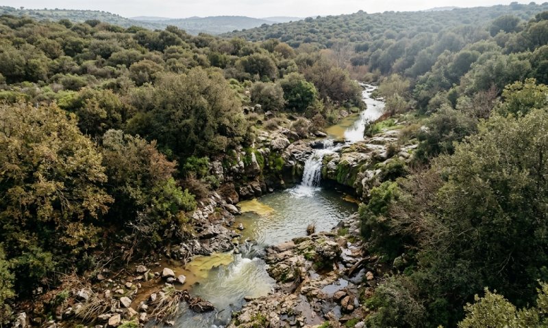 זיהום חיידקי חריג ב-14 נחלים בצפון: הציבור מתבקש להישאר מחוץ למים
