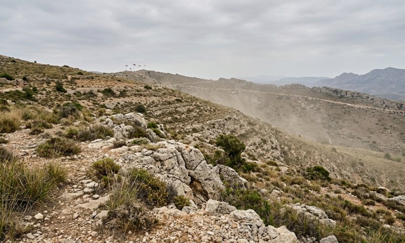 פלסטינים יידו אבנים בשומרון: צעיר נפצע בינוני ו-4 קל