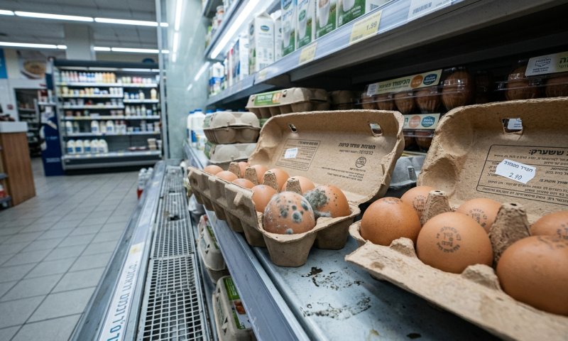 ריקול מיידי: מן הטבע בארותיים מחזירה ביצים אורגניות בשל עובש